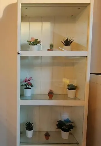 El Cielo De Fomento Gijón