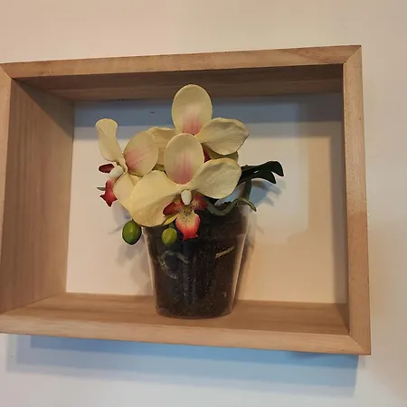 El Cielo De Fomento * Хіхон