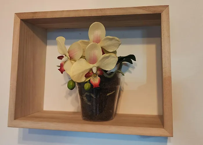 El Cielo De Fomento * Χιχόν